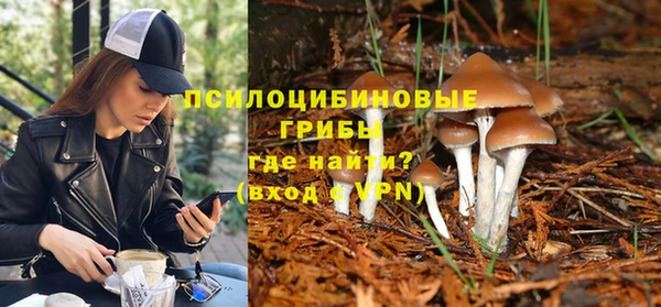 мяу мяу мука Алзамай