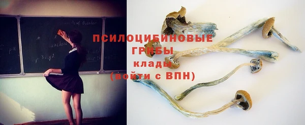 соль курить ск Алексеевка