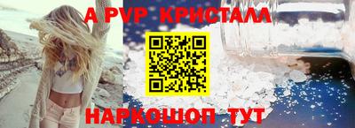 гидра Кингисепп