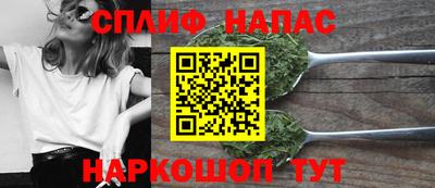гидра Кингисепп