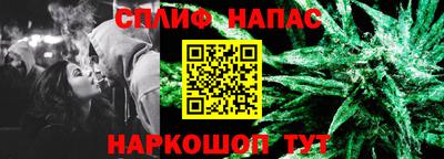 гидра Кингисепп