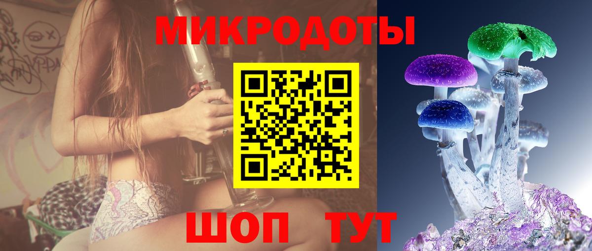 Псилоцибиновые грибы Psilocybine cubensis Котельники