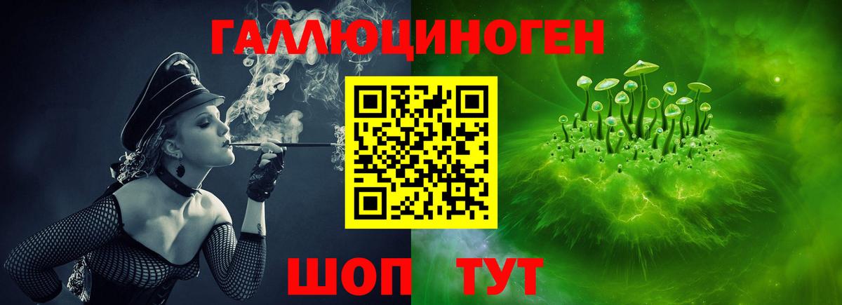 Псилоцибиновые грибы Psilocybine cubensis  Вход с VPN  наркошоп  Галлюциногенные грибы мицелий  Котельники 
